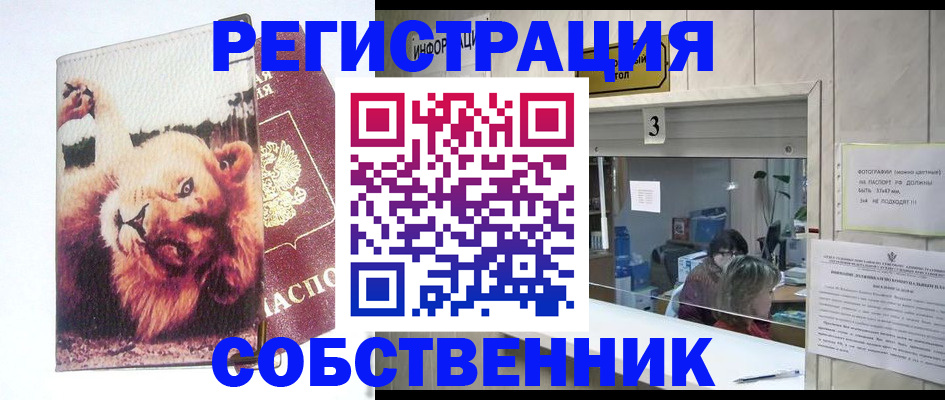 прописка поиск в Сосновоборске